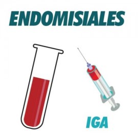 AC Anti Endomisiales IGA
