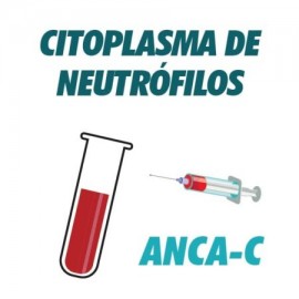AC Anti Citoplasma de Neutrofilos (ANCA-C)