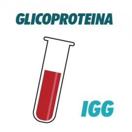 AC Anti Beta 2 Glicoproteina IGG