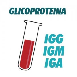 AC Anti Beta 2 Glicoproteina 1 IGG, IGM, IGA