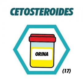 17 Cetoesteroides en Orina (24 Horas)