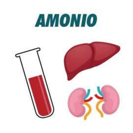 AC Amonio