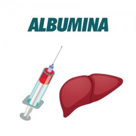 Albumina en sangre