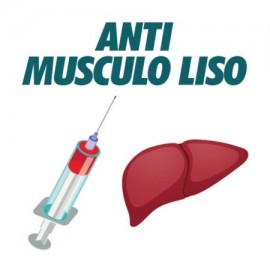 AC Anti Musculo Liso