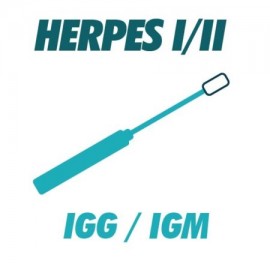AC Anti Herpes 1-2 (IGG e IGM)