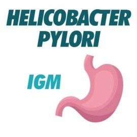 AC Anti Helicobacter Pylori IGM
