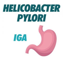 AC Anti Helicobacter Pylori IGA